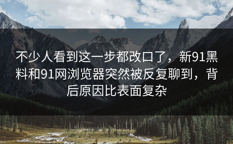不少人看到这一步都改口了，新91黑料和91网浏览器突然被反复聊到，背后原因比表面复杂