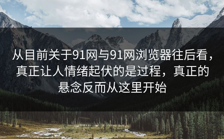 从目前关于91网与91网浏览器往后看，真正让人情绪起伏的是过程，真正的悬念反而从这里开始