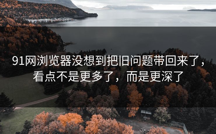 91网浏览器没想到把旧问题带回来了，看点不是更多了，而是更深了